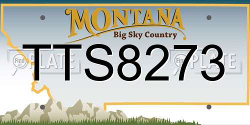 TTS8273 Montana License Plate