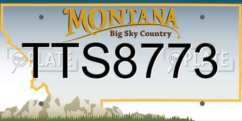 TTS8773 Montana License Plate