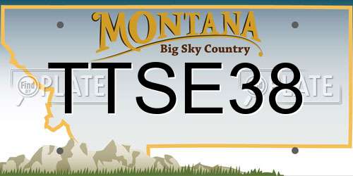 TTSE38 Montana License Plate