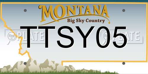 TTSY05 Montana License Plate