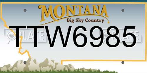 TTW6985 Montana License Plate