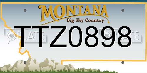 TTZ0898 Montana License Plate