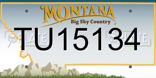 TU15134 Montana License Plate