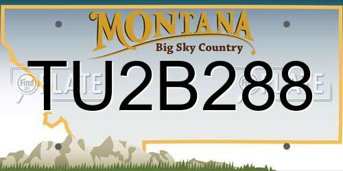 TU2B288 Montana License Plate