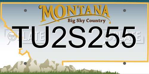 TU2S255 Montana License Plate