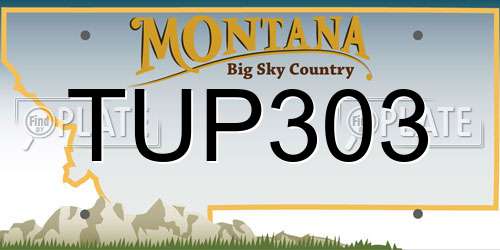 TUP303 Montana License Plate