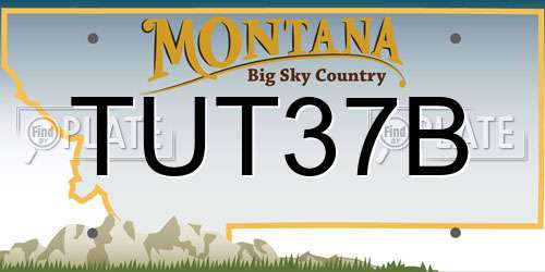 TUT37B Montana License Plate
