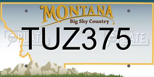 TUZ375 Montana License Plate