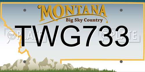 TWG733 Montana License Plate