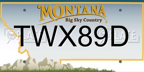 TWX89D Montana License Plate