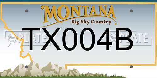 TX004B Montana License Plate
