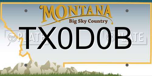 TX0D0B Montana License Plate
