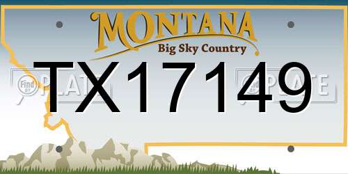 TX17149 Montana License Plate