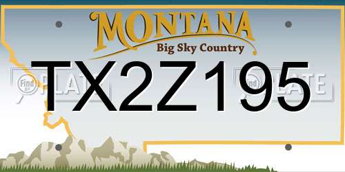 TX2Z195 Montana License Plate