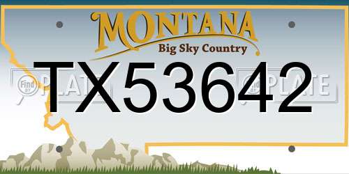 TX53642 Montana License Plate
