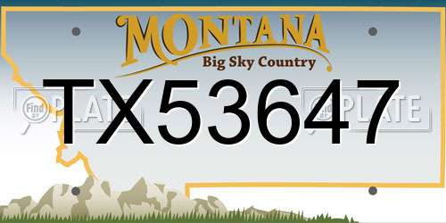 TX53647 Montana License Plate