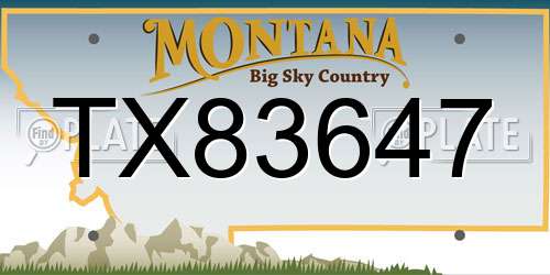 TX83647 Montana License Plate