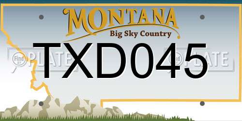 TXD045 Montana License Plate