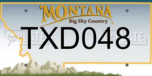 TXD048 Montana License Plate