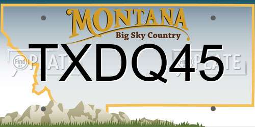 TXDQ45 Montana License Plate