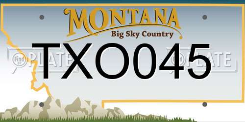 TXO045 Montana License Plate