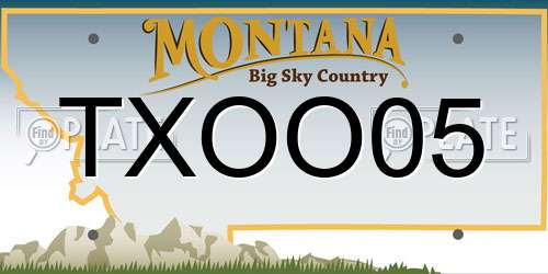 TXOO05 Montana License Plate