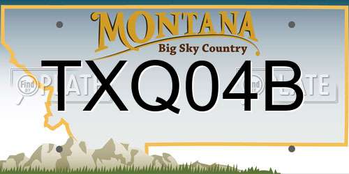 TXQ04B Montana License Plate
