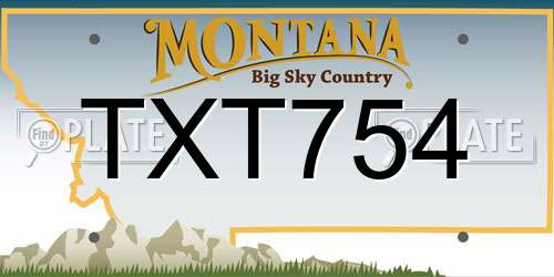 TXT754 Montana License Plate