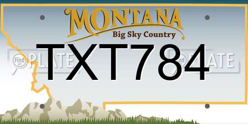 TXT784 Montana License Plate