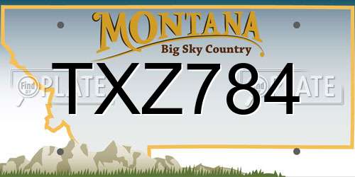 TXZ784 Montana License Plate