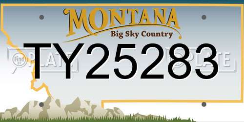 TY25283 Montana License Plate