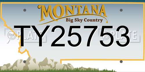 TY25753 Montana License Plate