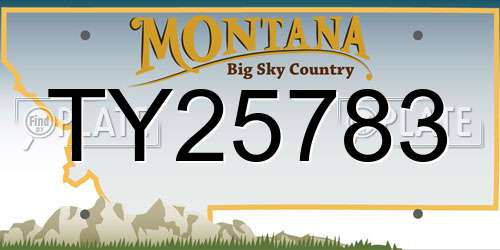 TY25783 Montana License Plate