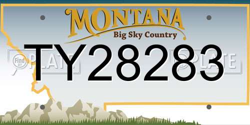 TY28283 Montana License Plate
