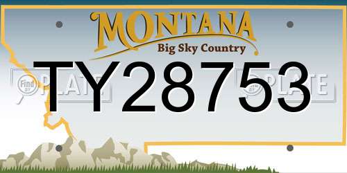 TY28753 Montana License Plate