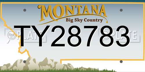 TY28783 Montana License Plate