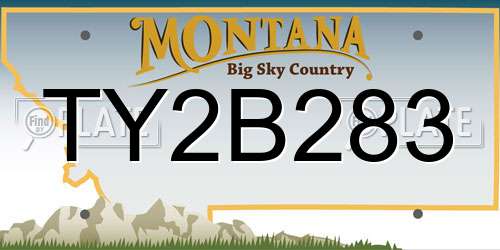 TY2B283 Montana License Plate