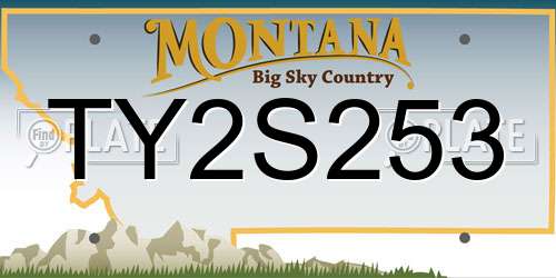 TY2S253 Montana License Plate