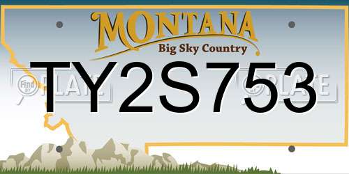 TY2S753 Montana License Plate