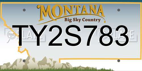 TY2S783 Montana License Plate