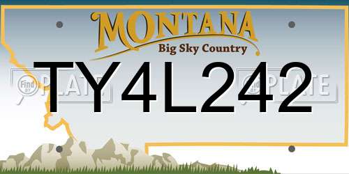 TY4L242 Montana License Plate
