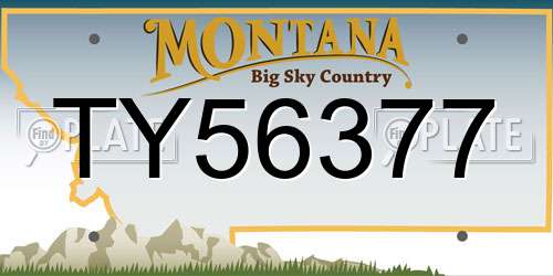 TY56377 Montana License Plate
