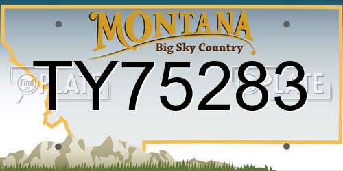 TY75283 Montana License Plate