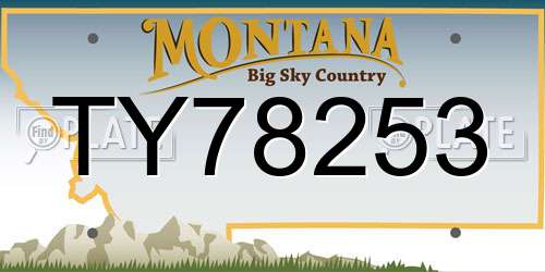 TY78253 Montana License Plate