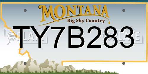 TY7B283 Montana License Plate