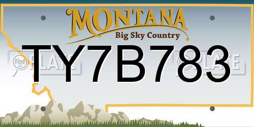 TY7B783 Montana License Plate