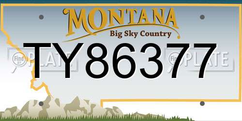 TY86377 Montana License Plate