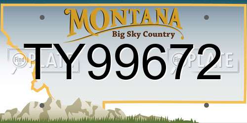 TY99672 Montana License Plate