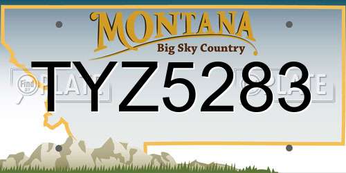 TYZ5283 Montana License Plate