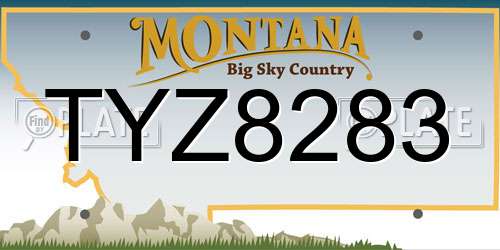 TYZ8283 Montana License Plate
